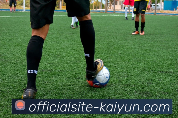 kaiyun平台生态图